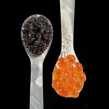 Vi lærer hva den røde kaviar drømmer om